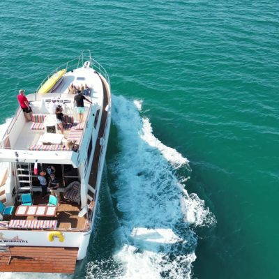 00 VITECH 50 - VITECH vue par drone